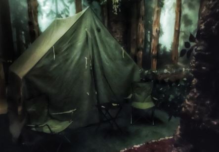 Wraith Chasers-Room 16 - Double Queen beds
